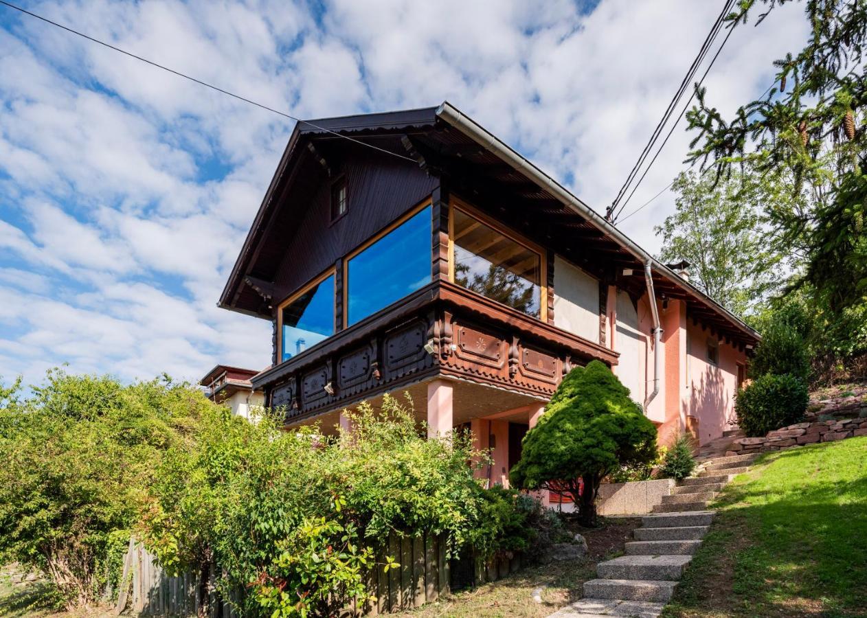 Le Grand Nichoir De La Colline - Parking - Wifi Villa Mutzig Exterior photo